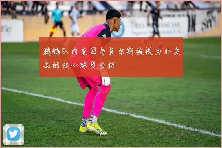 鹈鹕队内奎因与费尔斯被视为非卖品的核心球员分析